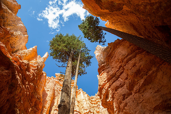 Bryce Canyon, UT. 2