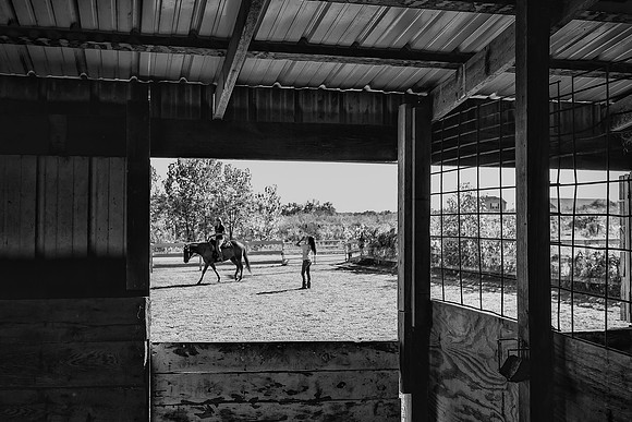 Farm
