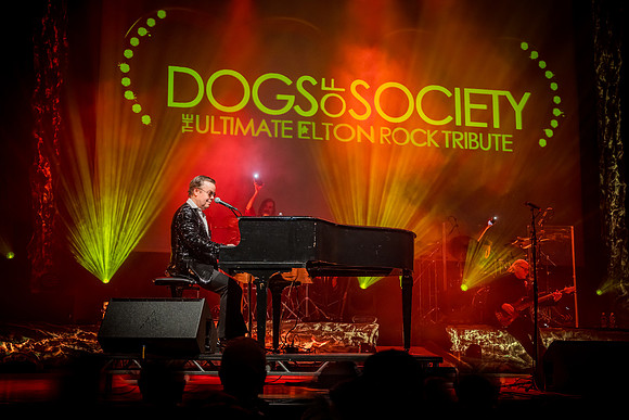 dogs.2024.1.21DSC00591